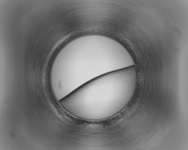 X0000113160400200909040957