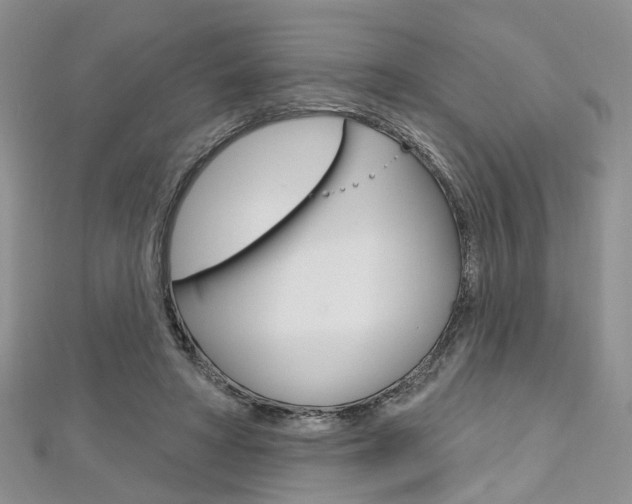 X0000113160402200909040957