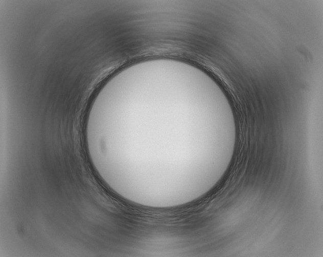 X0000113160403200909040957