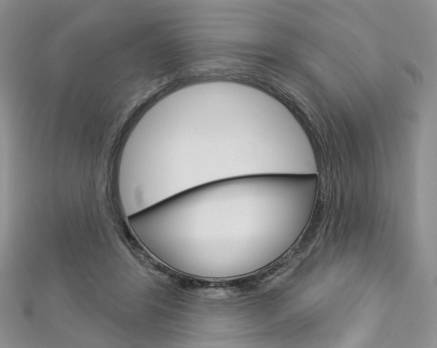 X0000113160404200909040957