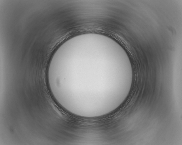X0000113160405200909040957