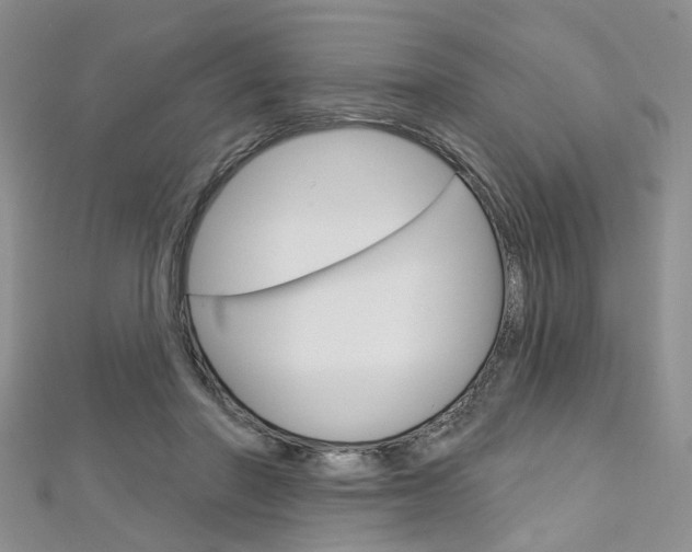 X0000113160406200909040957