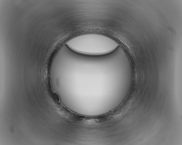X0000113160407200909040957