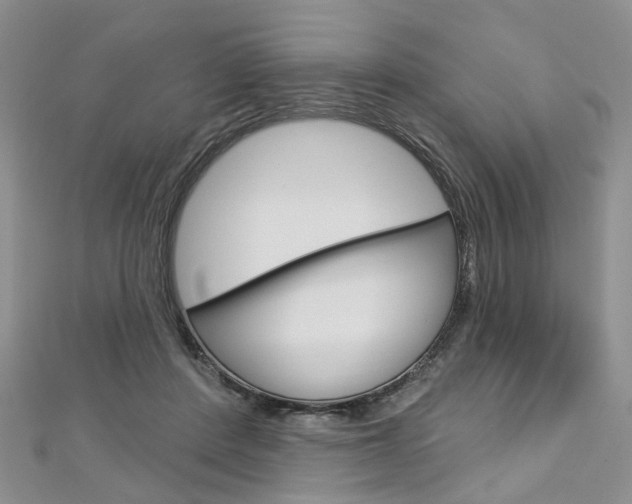 X0000113160408200909040957