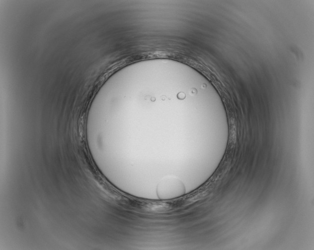 X0000113160410200909040957