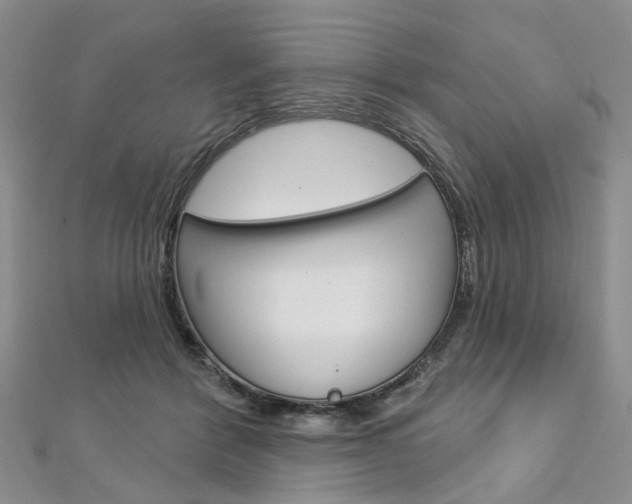 X0000113160412200909040957