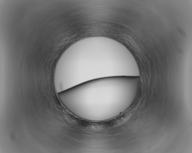 X0000113160416200909040957