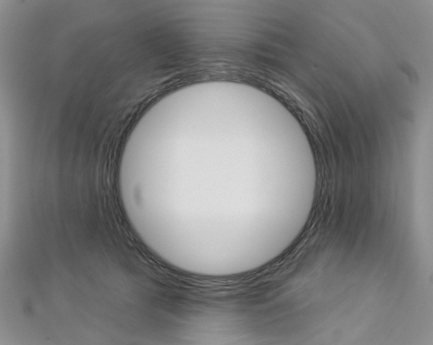 X0000113160417200909040957