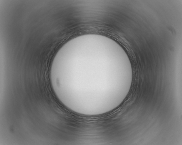 X0000113160419200909040957