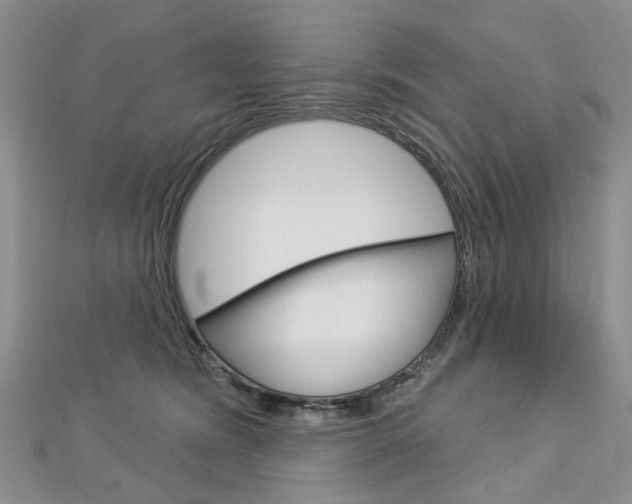 X0000113160420200909040957