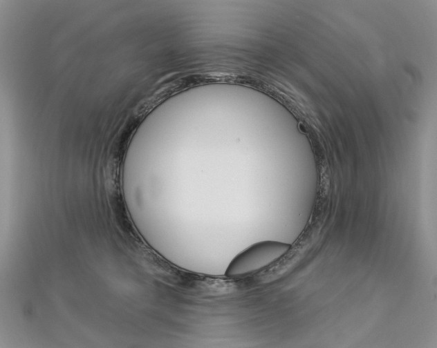X0000113160421200909040957