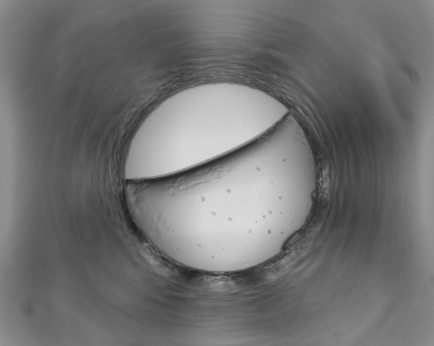 X0000113160424200909040957