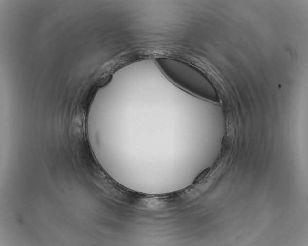 X0000113160425200909040957