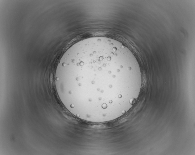 X0000113160426200909040957