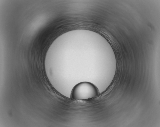 X0000113160429200909040957