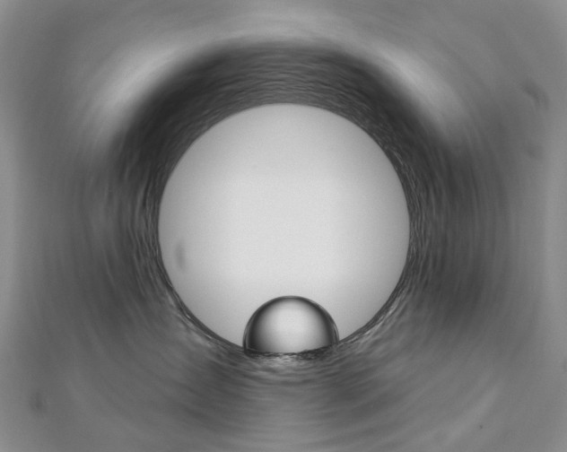 X0000113160431200909040957