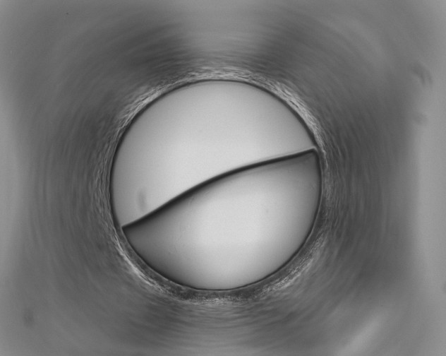X0000113160433200909040956