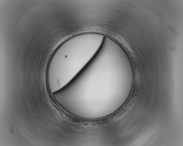 X0000113160434200909040956