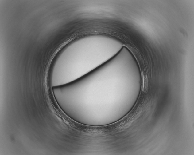 X0000113160435200909040956