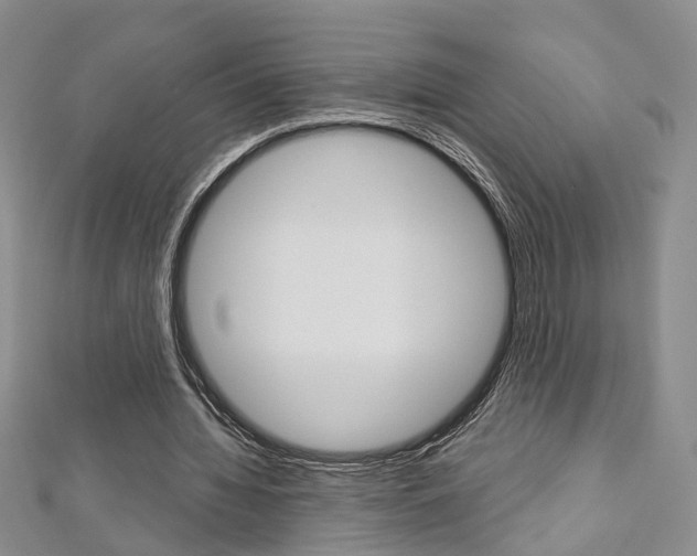 X0000113160436200909040956
