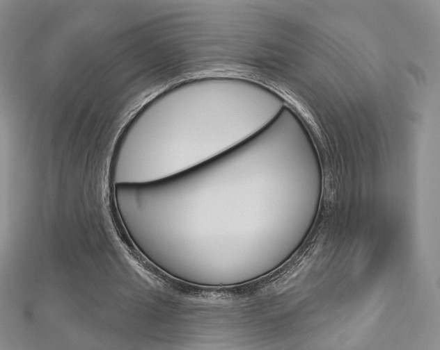 X0000113160437200909040956