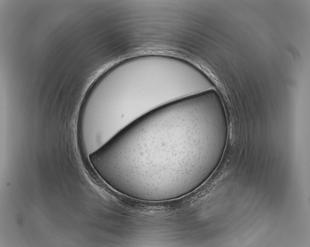 X0000113160438200909040956