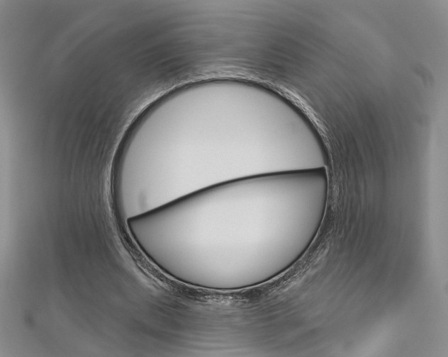 X0000113160439200909040956