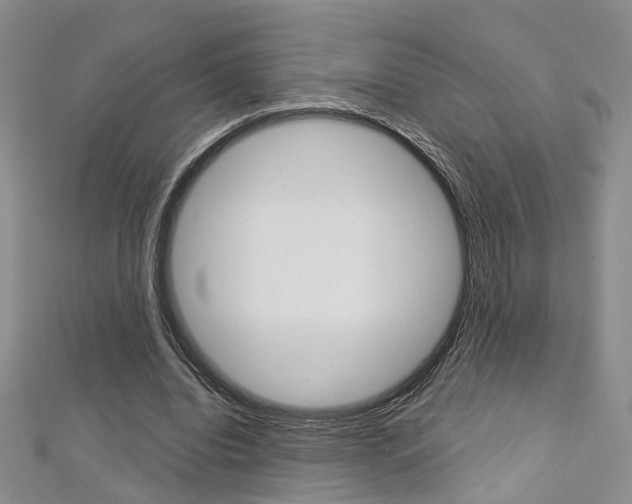 X0000113160440200909040956