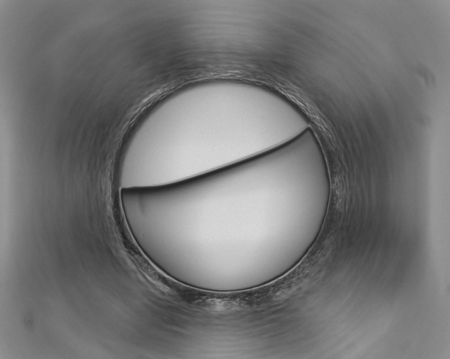 X0000113160442200909040956
