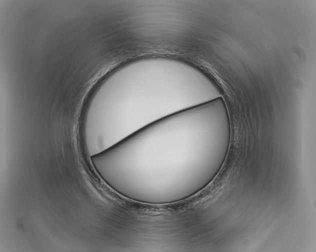 X0000113160443200909040956