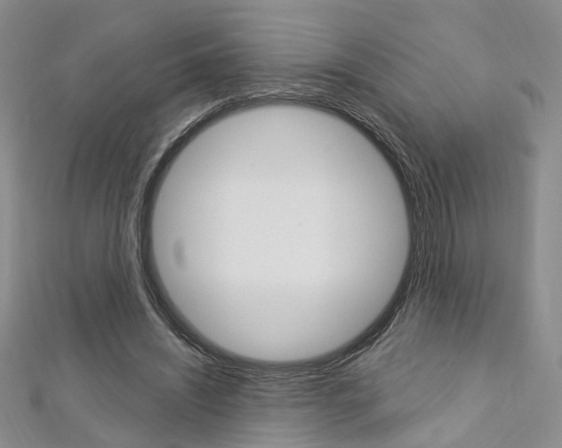 X0000113160444200909040956
