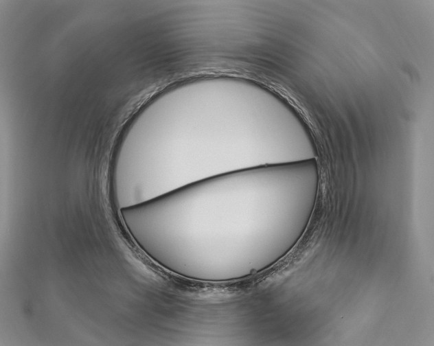 X0000113160445200909040956