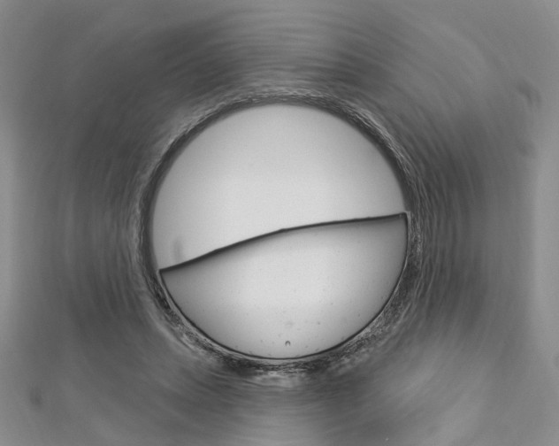 X0000113160447200909040956