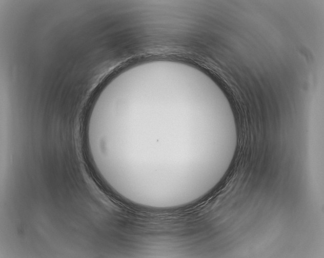 X0000113160448200909040956