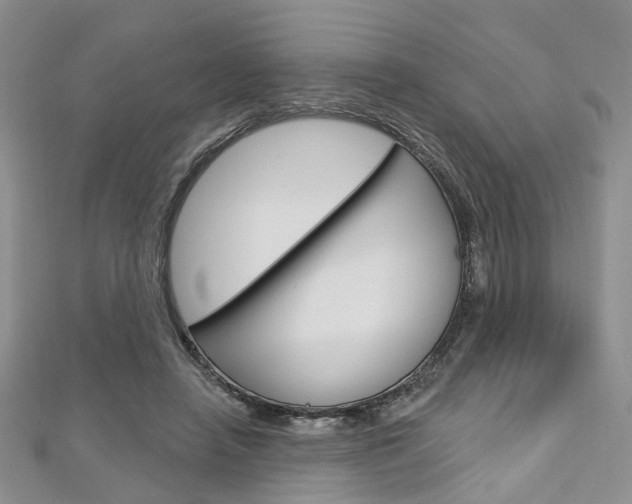 X0000113160450200909040956