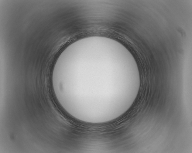 X0000113160452200909040956