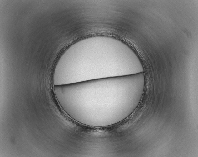 X0000113160453200909040956