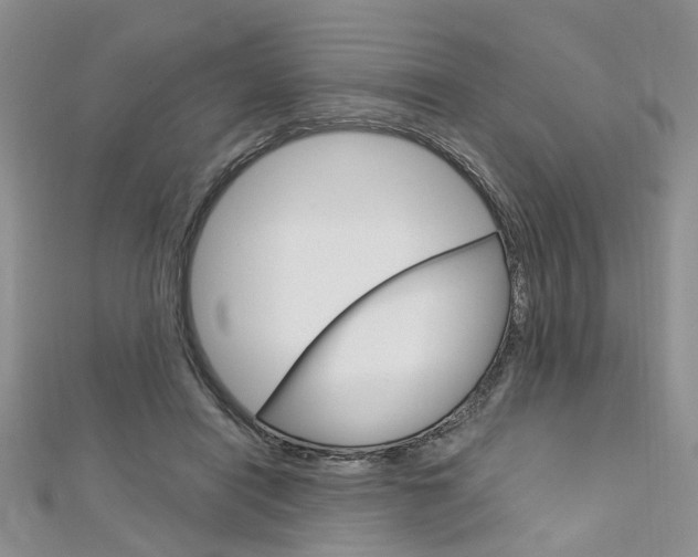 X0000113160454200909040956