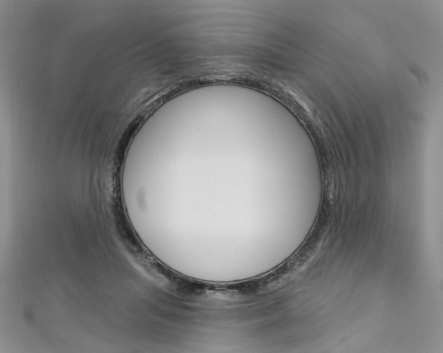 X0000113160455200909040956