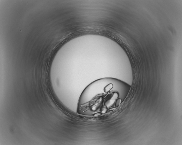 X0000113160456200909040956