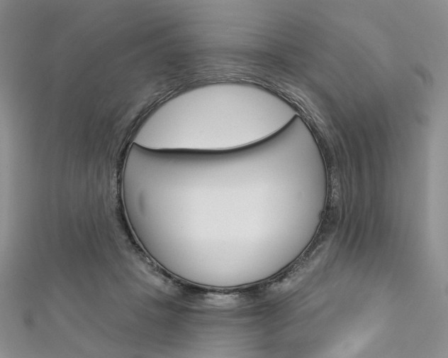 X0000113160457200909040956