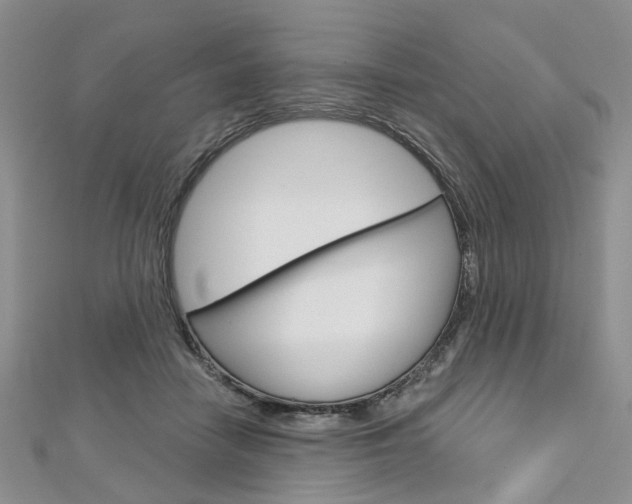 X0000113160458200909040956