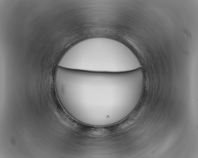 X0000113160459200909040956