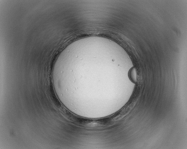 X0000113160460200909040956