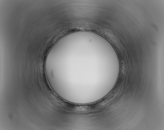 X0000113160461200909040956
