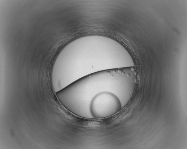 X0000113160462200909040956