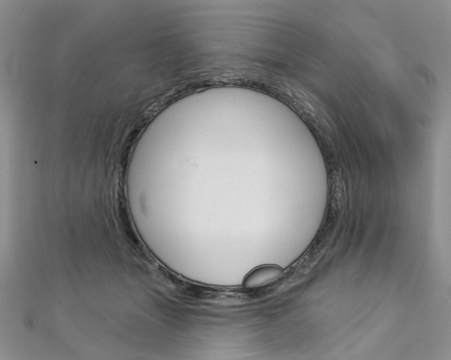 X0000113160463200909040956