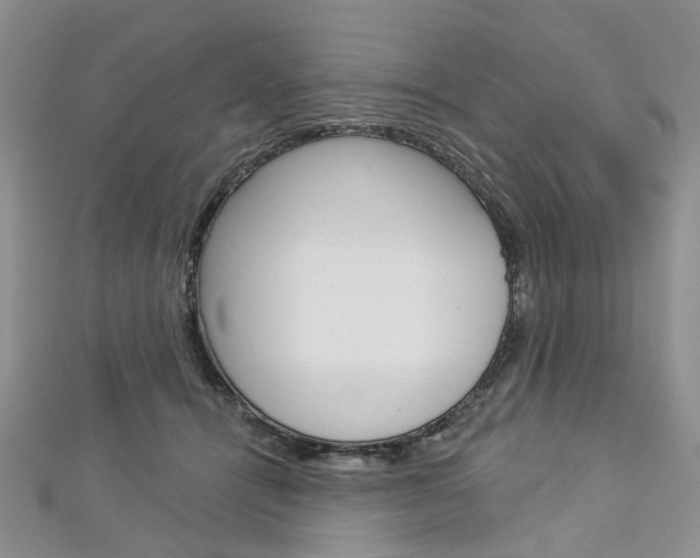X0000113160464200909040956