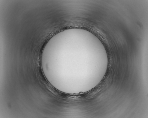 X0000113160465200909040956