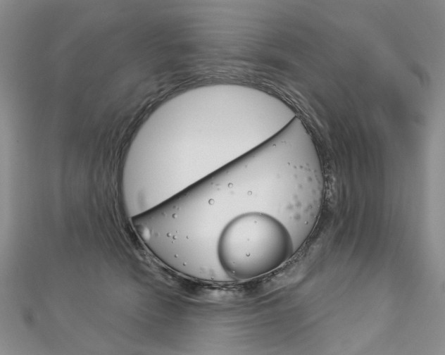 X0000113160466200909040957